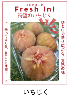 hiroshima5