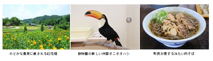 kahoku1