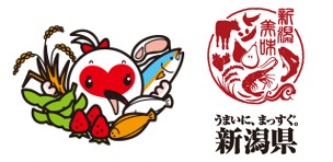 niigata1