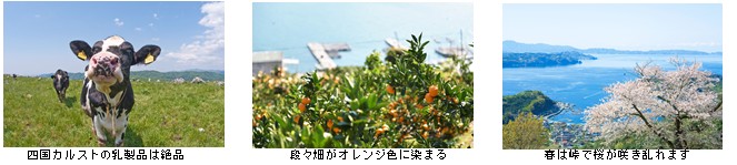 seiyo1