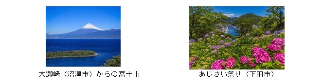 shizuoka1