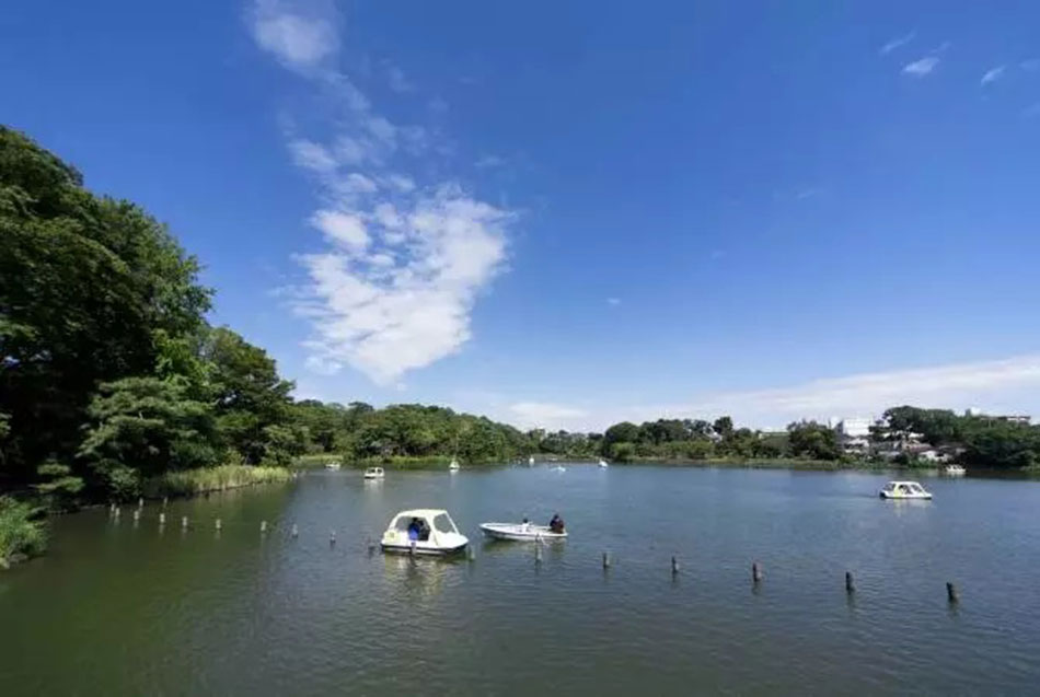 센조쿠 연못공원