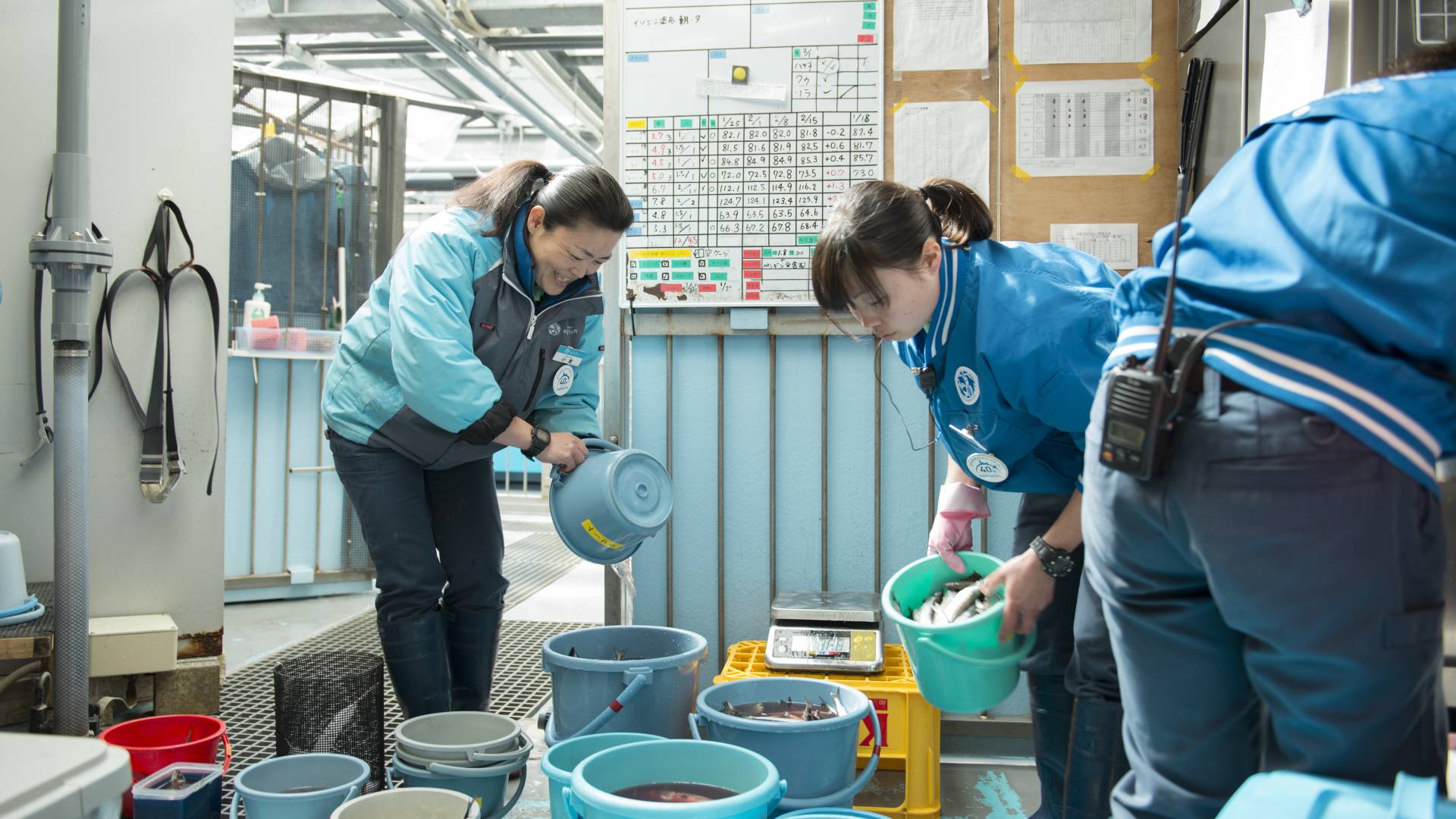 An employee at the Sunshine Aquarium reveals some of Ikebukuro's