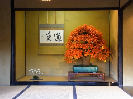 Bonsai Miniature Tree 03