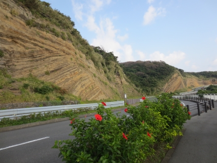 Exposed Cliffs (Oshima Island) 02