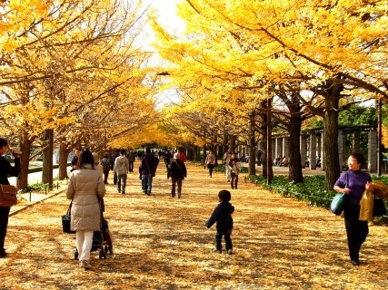 Showa Kinen Park 01