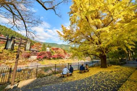 紅葉の映える御岳渓谷03