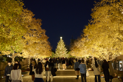 Yebisu Garden Place Illumination 02