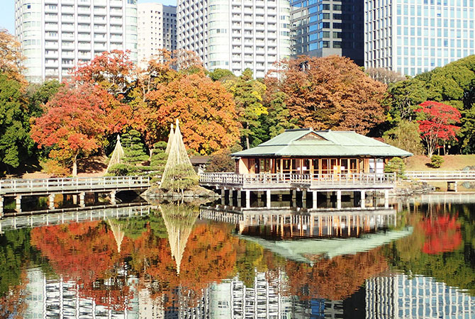 Colori autunnali nei giardini Hama-rikyu