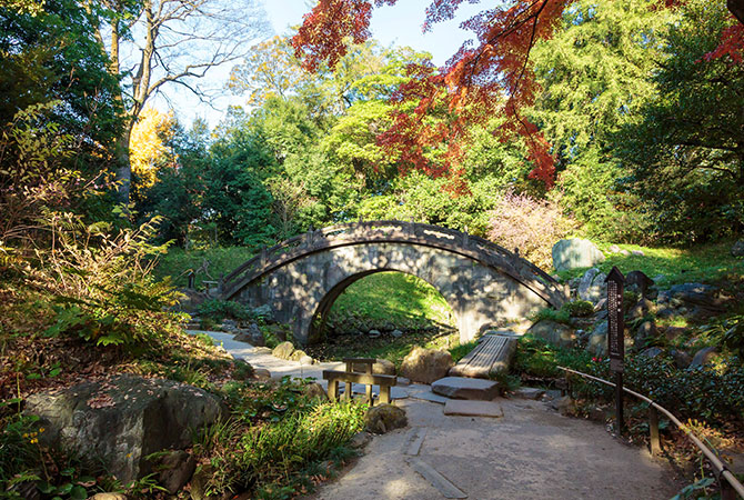 小石川後樂園的紅葉