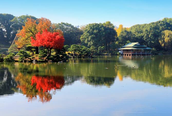 Wachsbaum in den Kiyosumi-Gärten