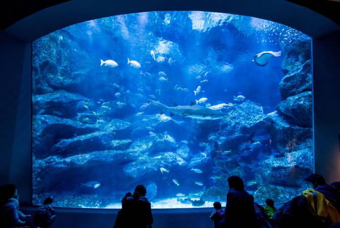 墨田水族馆（水槽）