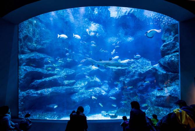 Sumida Aquarium (fish tank)