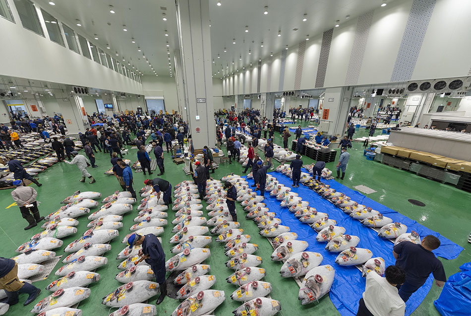 Mercado de pescado de Toyosu