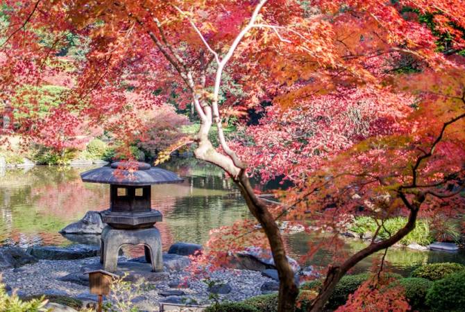 Foglie d’autunno nei giardini Kyu-Furukawa