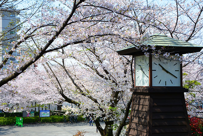 飛鳥山公園