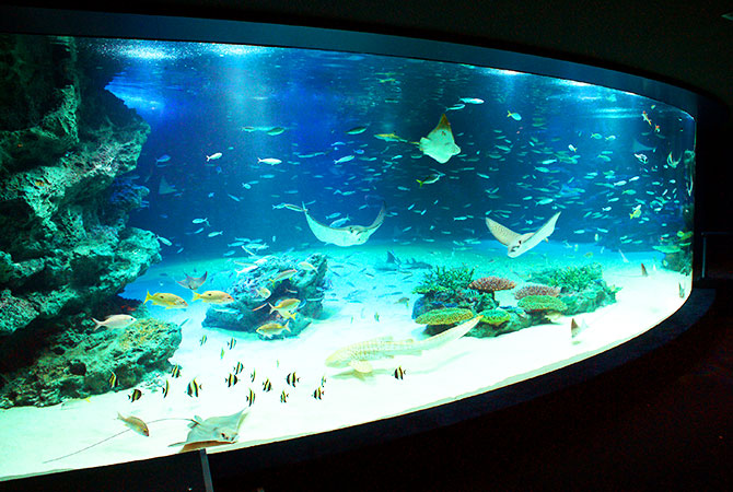 L’acquario Sunshine (la laguna)