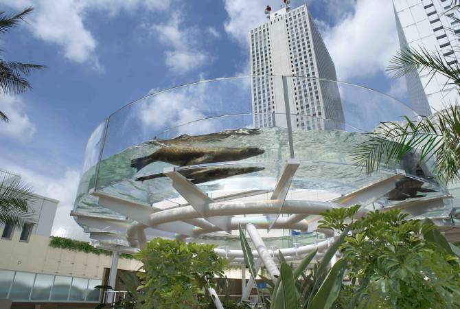 El Acuario Sunshine (leones de mar)