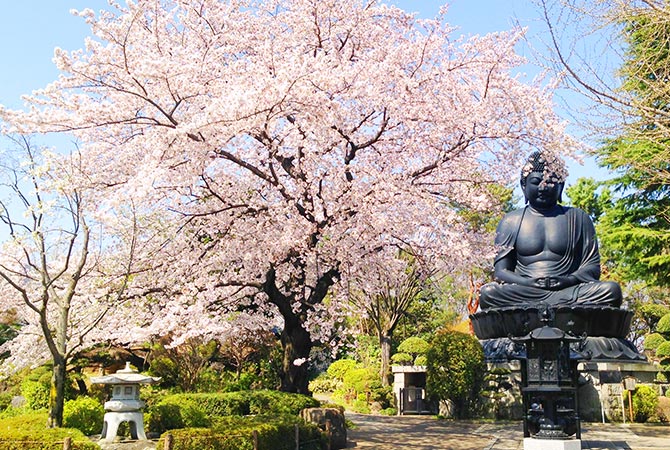 Tokyo Daibutsu