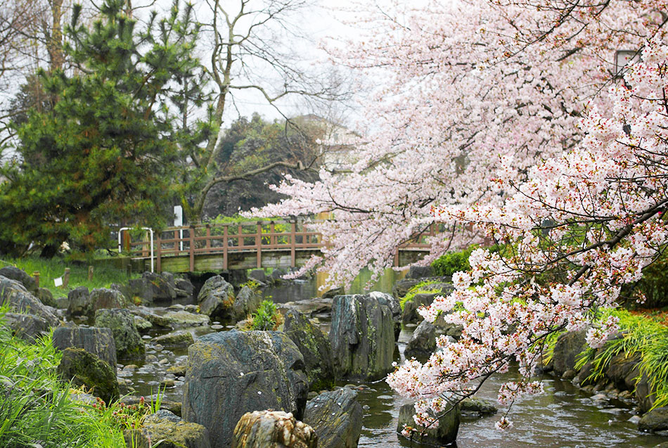  El Parque Higashi-Ayase