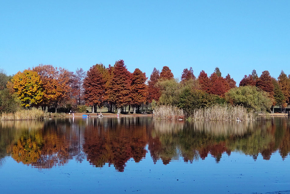 A lake in Toneri Park
