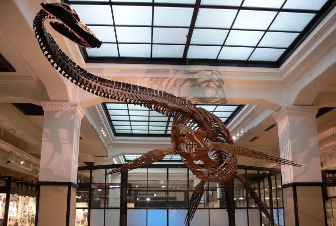 上野／東京の観光公式サイトGO TOKYO