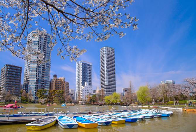 Shinobazu-Teich im Ueno-Park