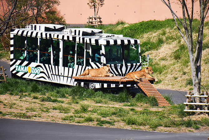 Parque Zoológico de Tama