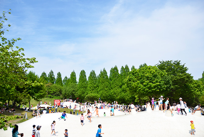 國營昭和紀念公園（遊樂器具）