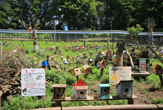 Piazzale del Giardino degli Scoiattoli di Machida