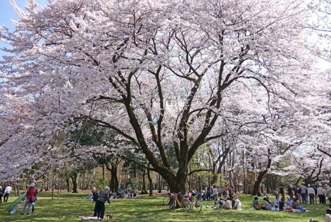 小金井公園