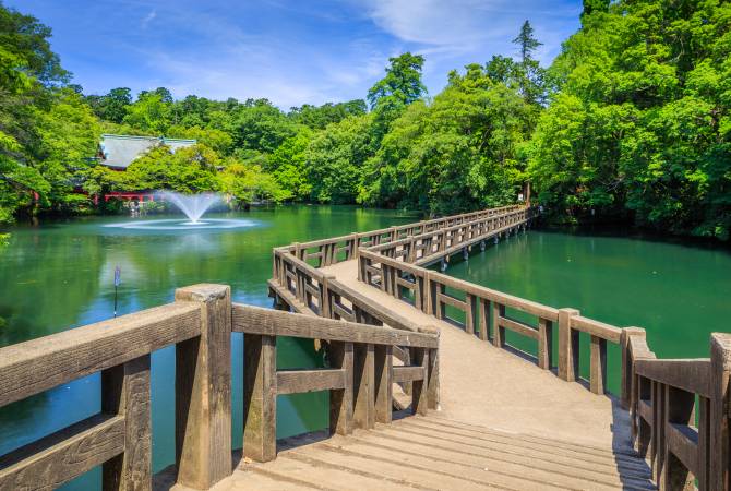 Stagno nel parco di Inokashira