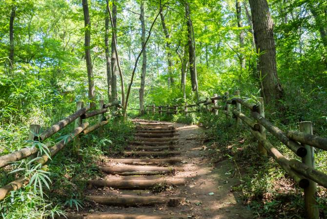 Chemin de promenade du parc de Hachikokuyama