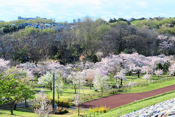 狹山公園