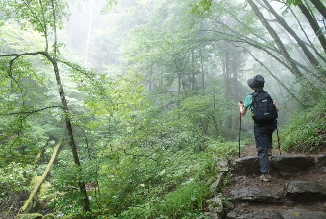 La natura di Okutama