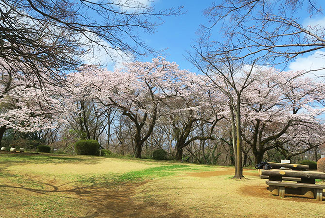 Parco di Sakuragaoka