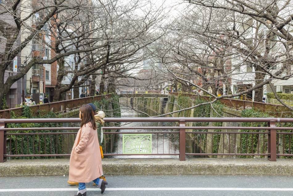 目黒川にかかる橋(桜橋)