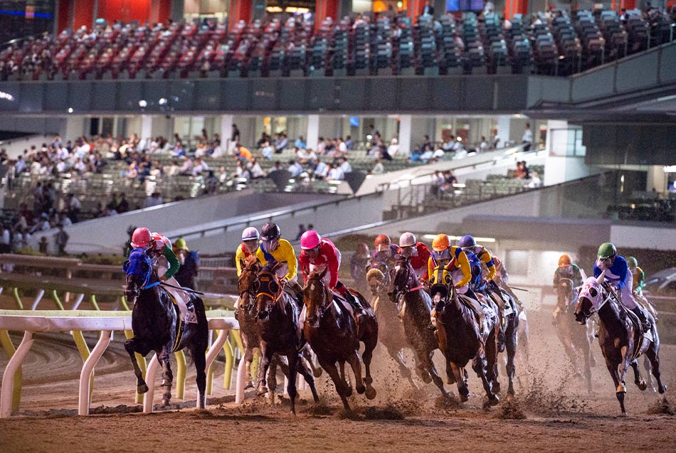 Hipódromo en Tokio