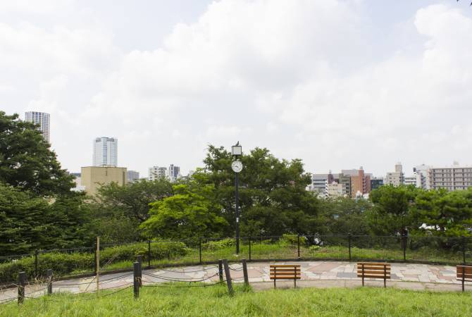 Prato erboso nel parco di Saigoyama