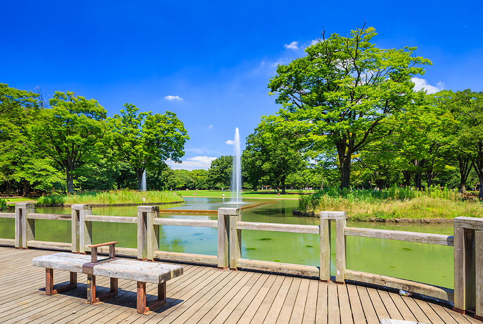 A bench in Yoyogi park