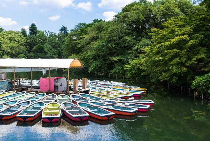 Teich im Inokashira-Park (Bootssteg)