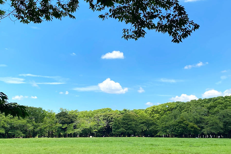 Parco di Yoyogi