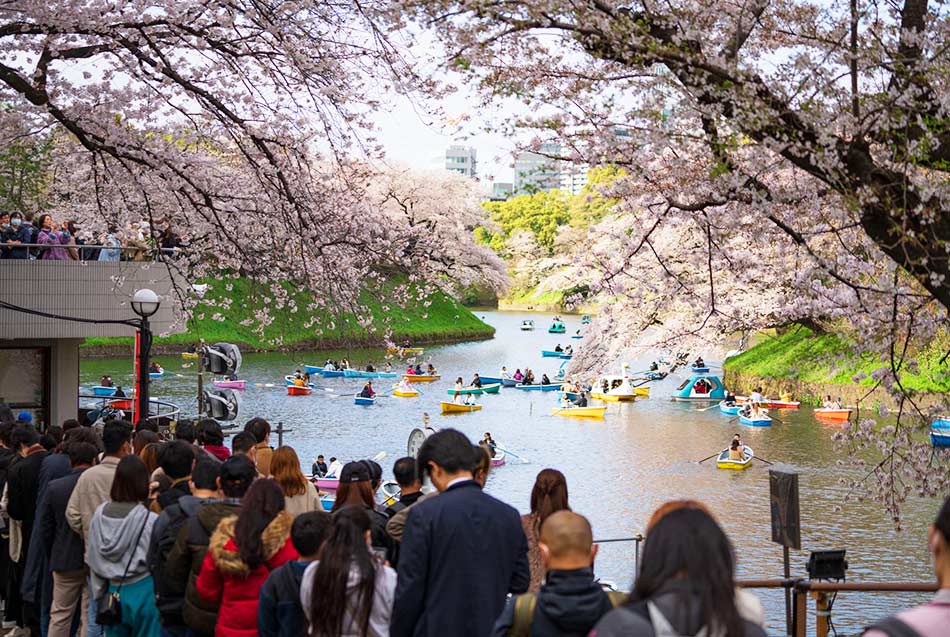 東京シリーズ開催記念桜パーカー （4月のおすすめ観光スポットと
