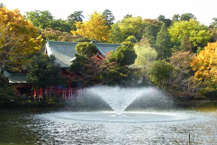 東京紅葉預測2023｜7大東京紅葉名所＋賞楓最佳時期 秋季限定絕美秘境！