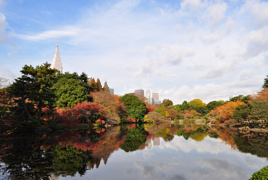 東京紅葉預測2023｜7大東京紅葉名所＋賞楓最佳時期 秋季限定絕美秘境！