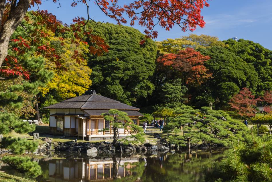 Aspettando Le Foglie Autunnali Sito Ufficiale Dedicato Al Turismo A Tokyo Go Tokyo