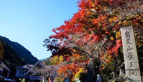 Takao Autumn Leaves Festival
