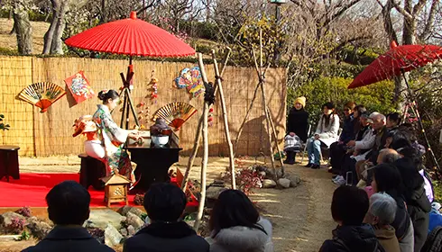 Setagaya Ume (Plum Blossom) Festival