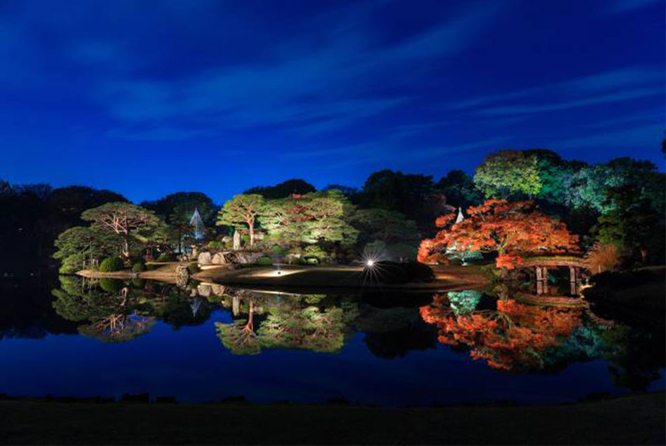 11月東京的觀光景點與活動推薦 東京旅遊官方網站go Tokyo