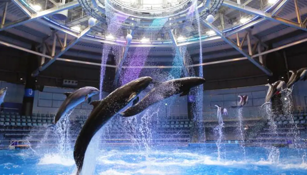 แม็กเซลล์ อะควาพาร์ก ชินากาวะ